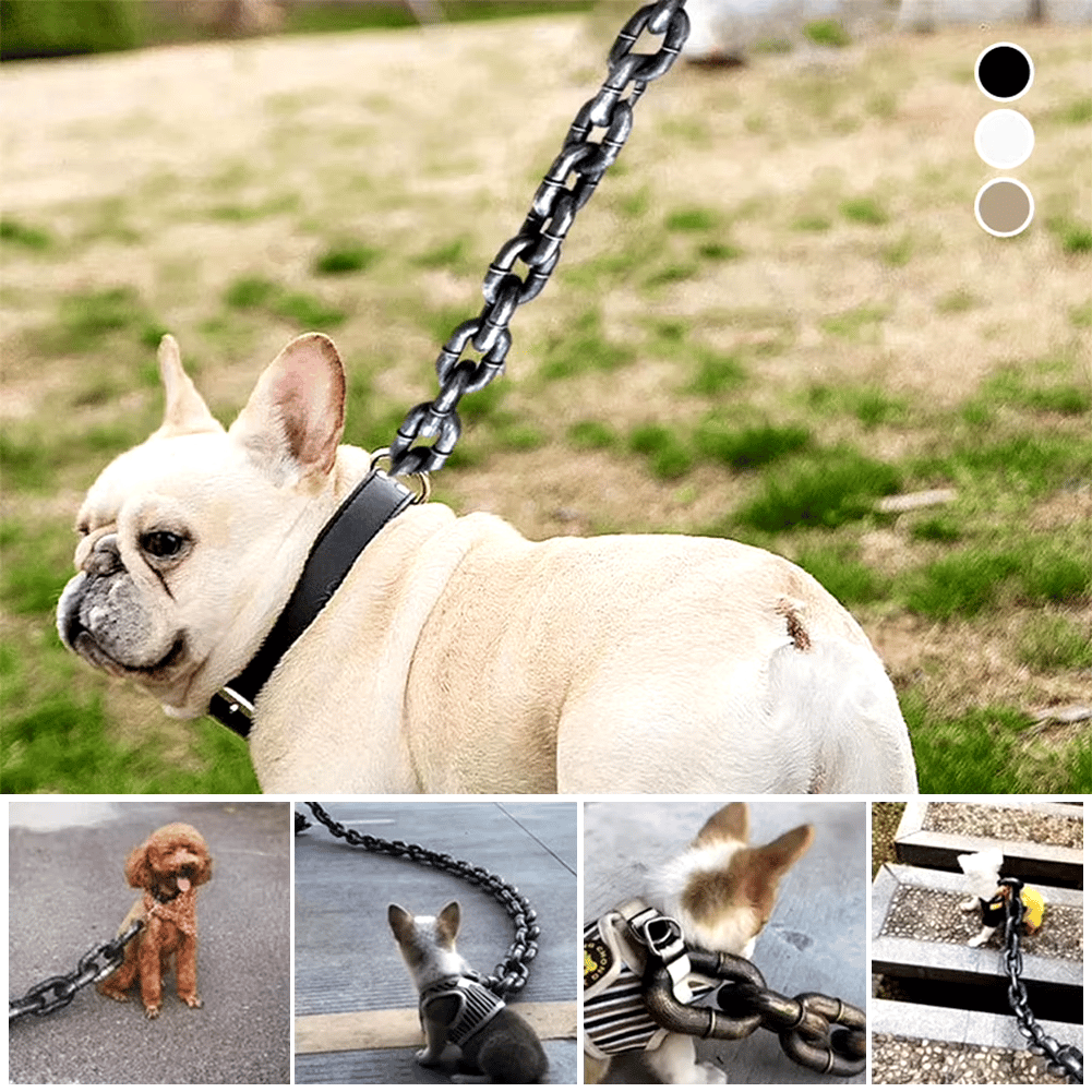🐾 Funny Dog Leash – realistyczny konstrukcja żelaznego łańcucha dla dużych, średnich i małych zwierząt 🐕✨ domowych